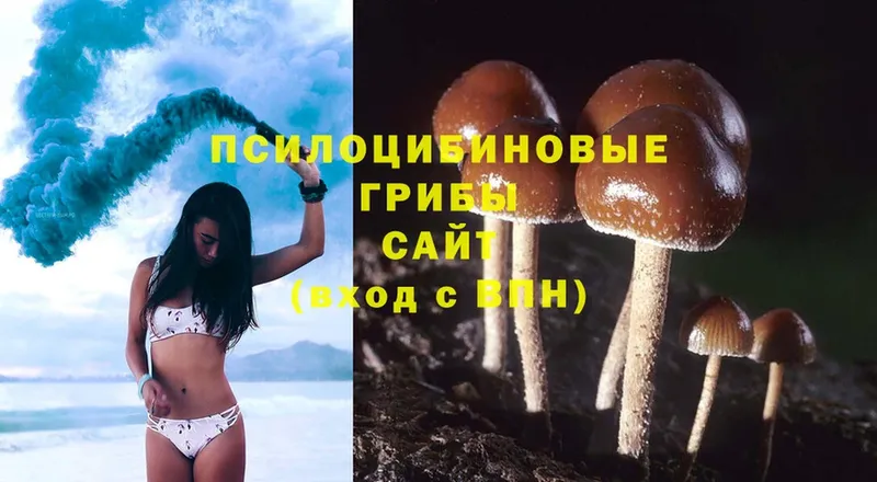 Галлюциногенные грибы MAGIC MUSHROOMS  Куса 